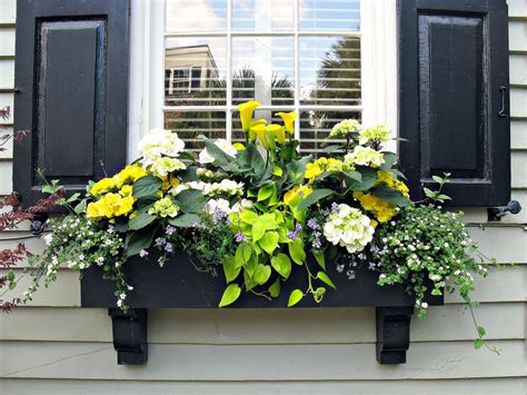 window flower box designs